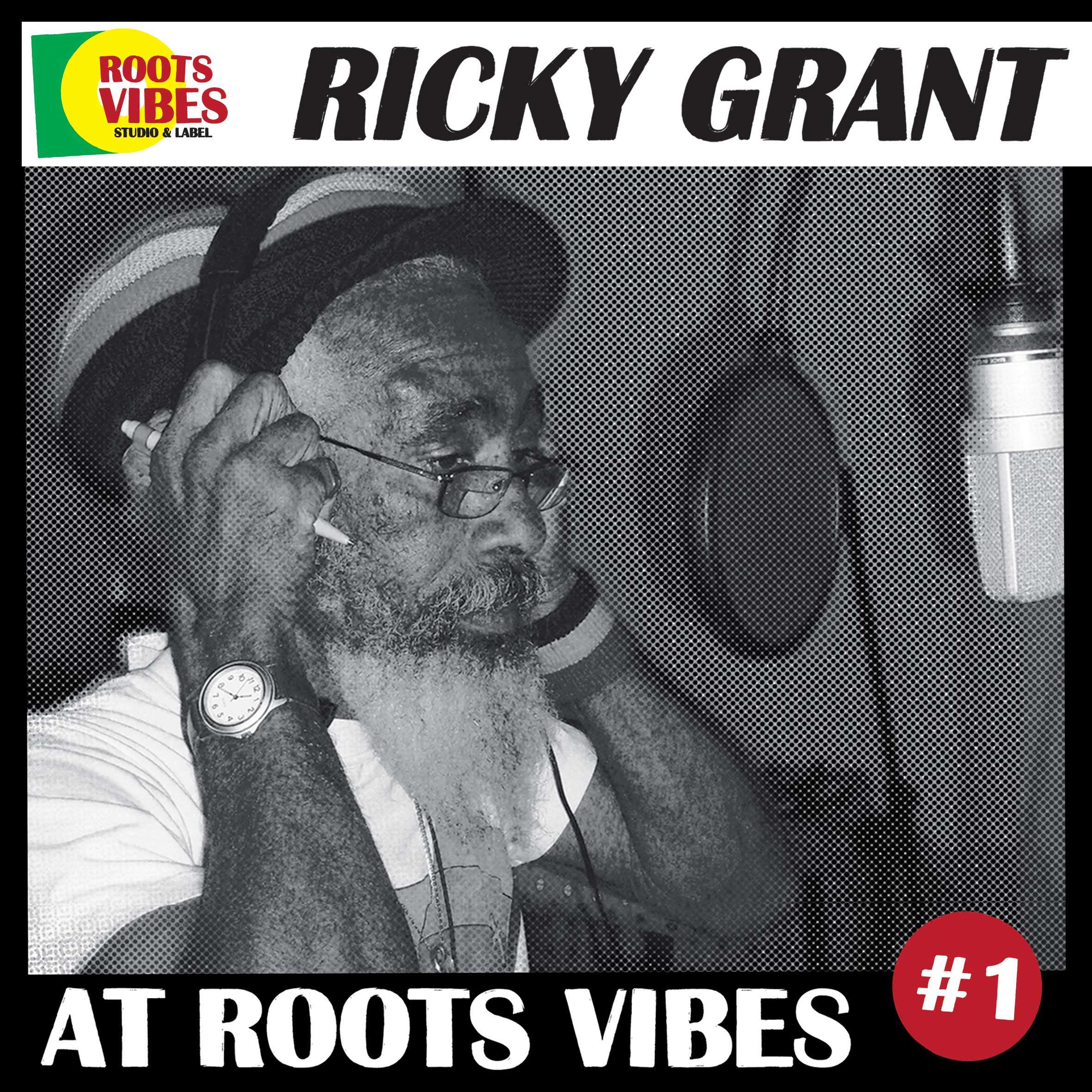 Ricky Grant at Roots Vibes vol.1